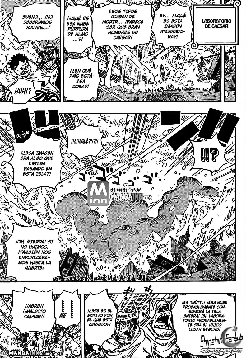 One Piece Capítulo 676 - Página 11 en español