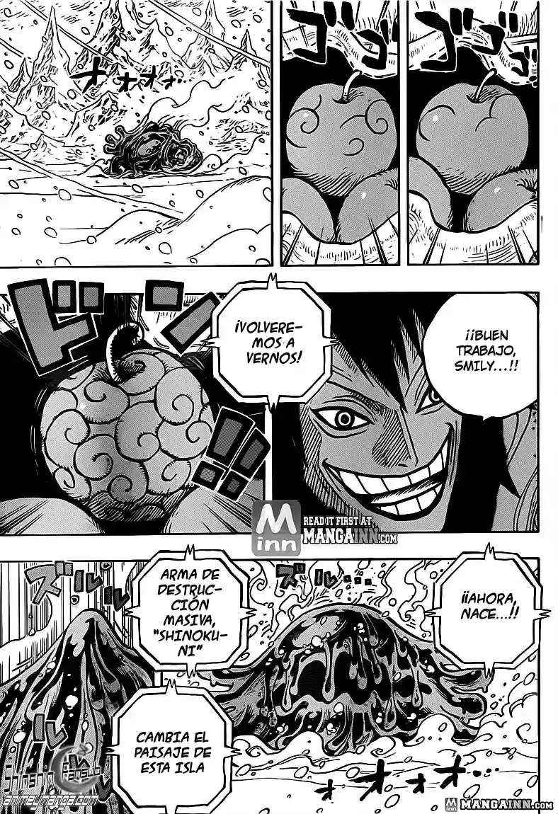 One Piece Capítulo 676 - Página 6 en español