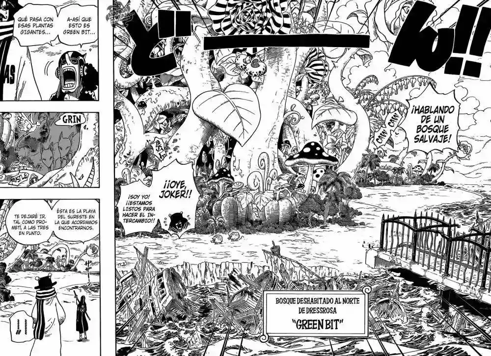 One Piece Capítulo 710 - Página 13 en español