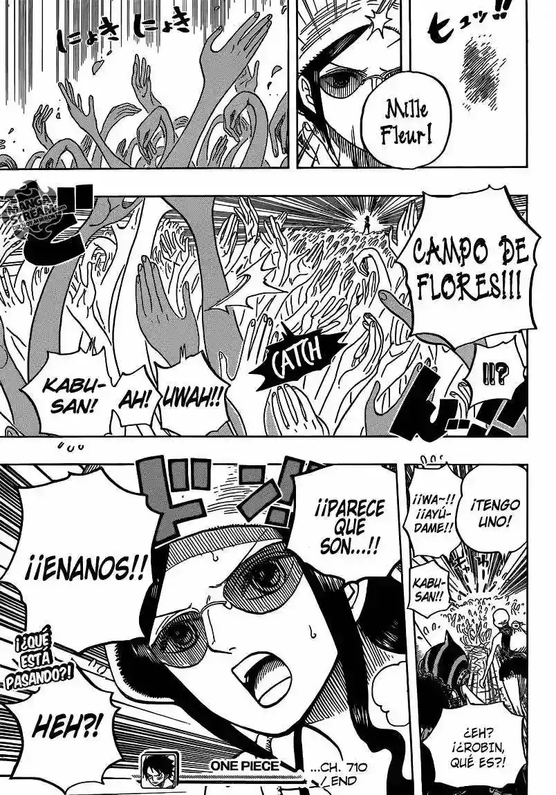 One Piece Capítulo 710 - Página 19 en español