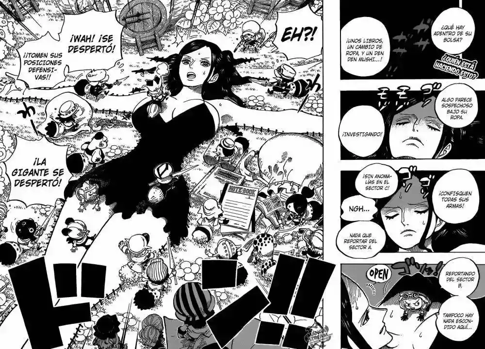 One Piece Capítulo 711 - Página 3 en español