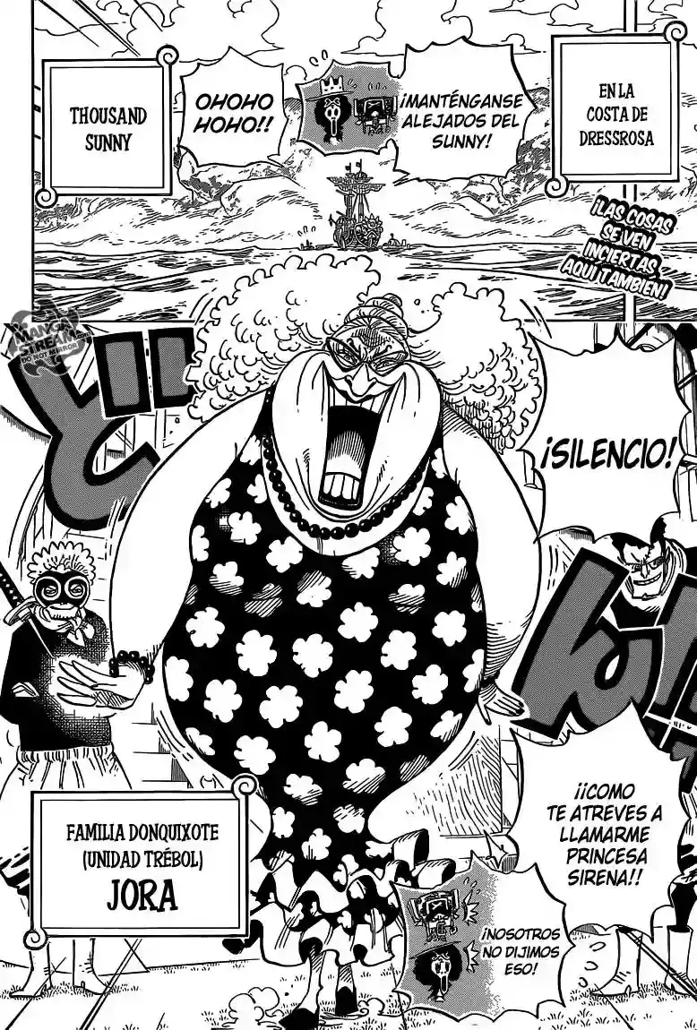One Piece Capítulo 714 - Página 3 en español