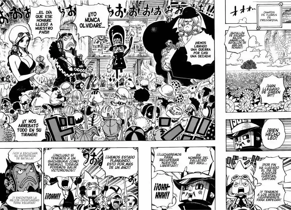 One Piece Capítulo 722 - Página 11 en español
