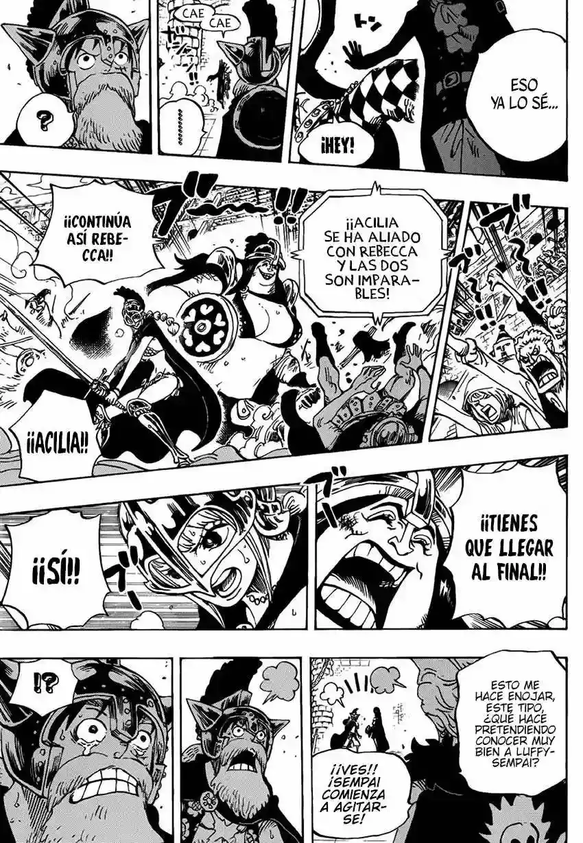 One Piece Capítulo 731 - Página 16 en español