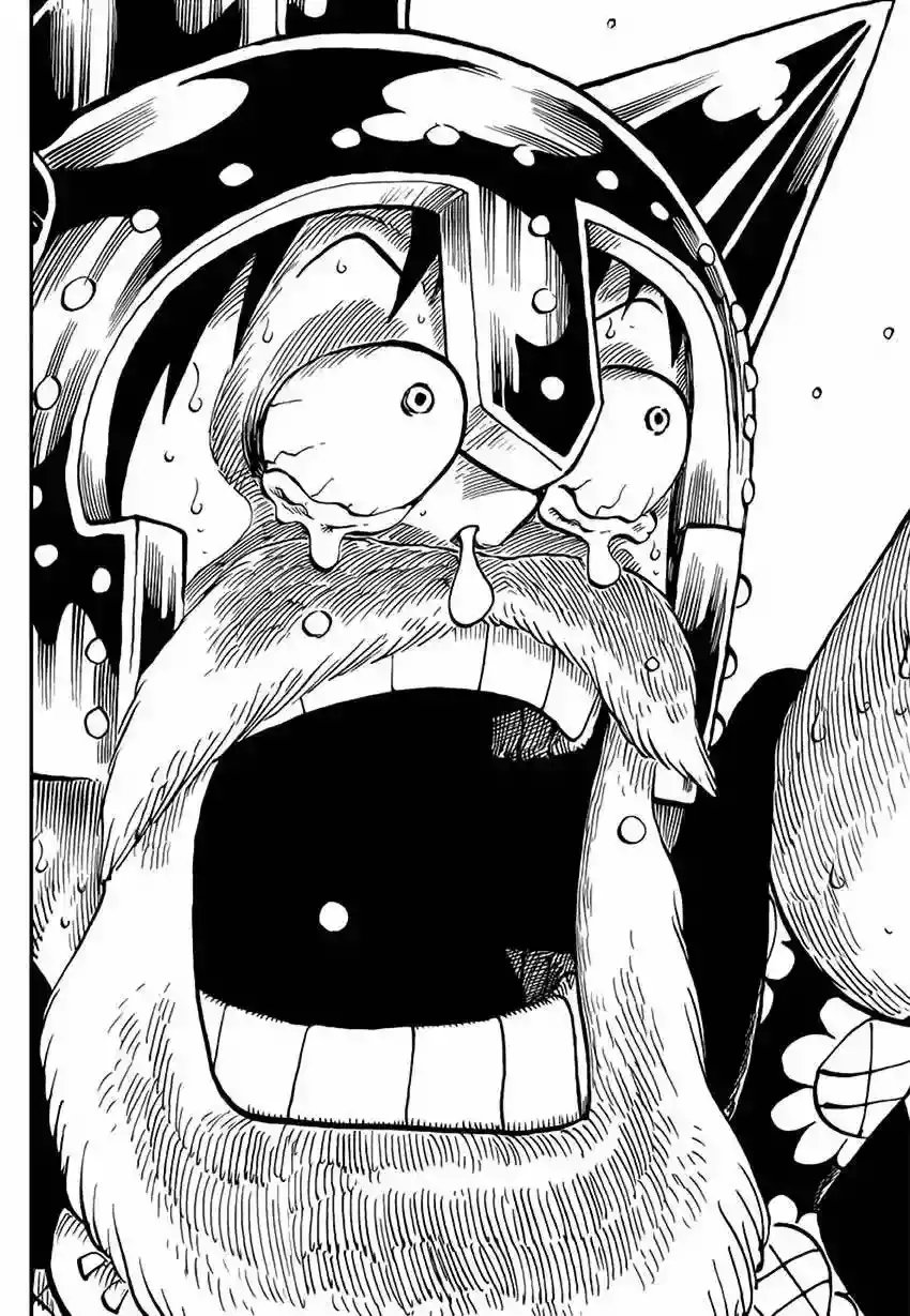 One Piece Capítulo 731 - Página 17 en español