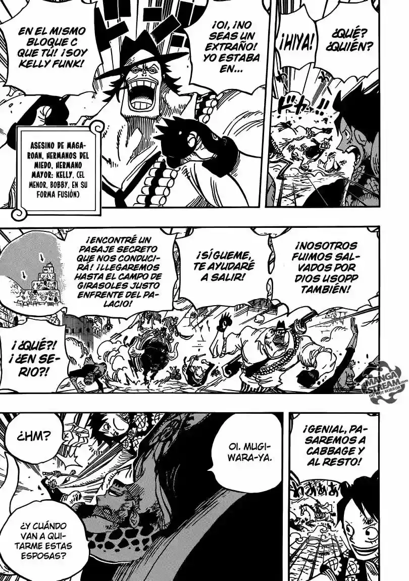 One Piece Capítulo 751 - Página 13 en español