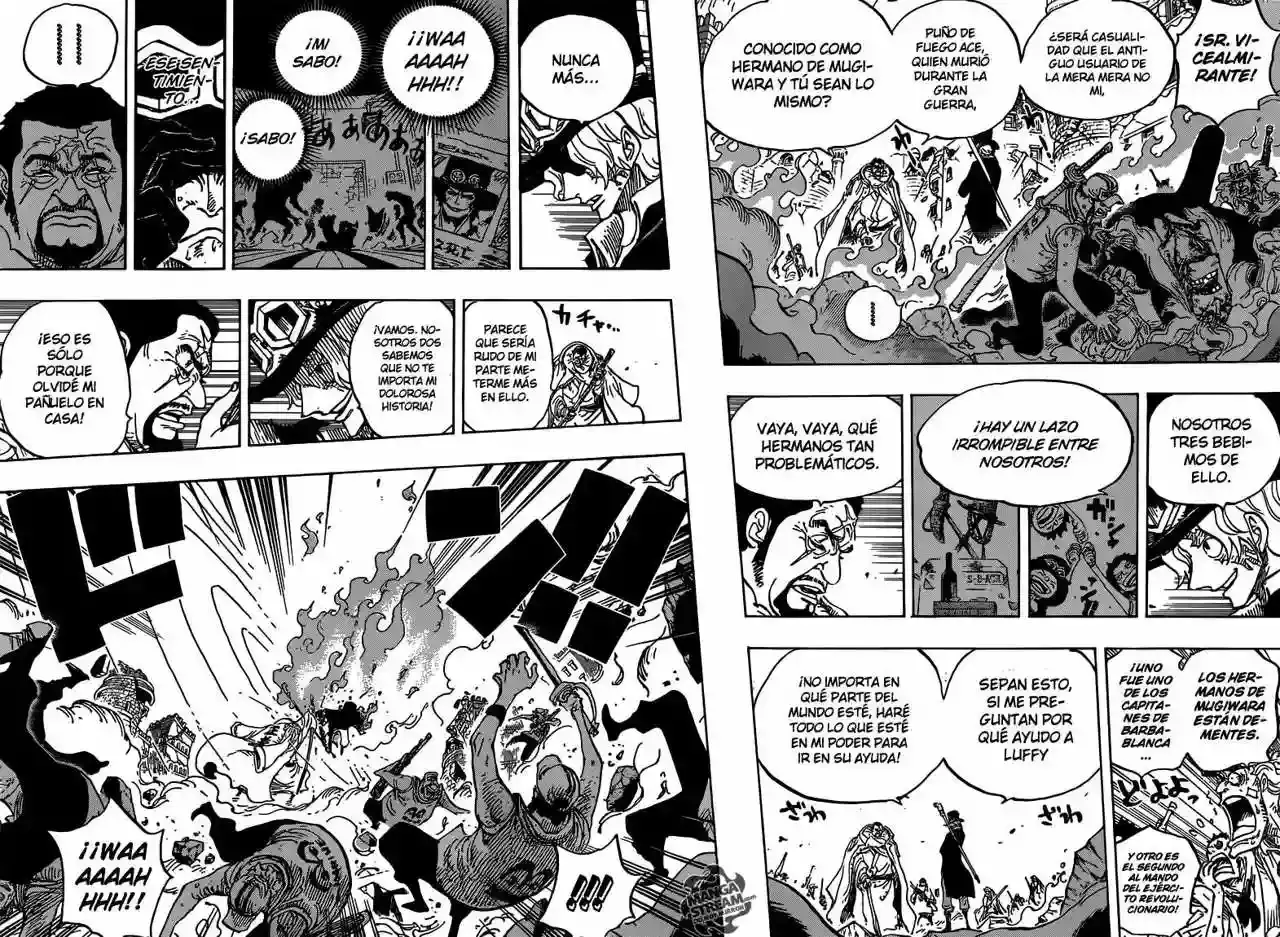 One Piece Capítulo 751 - Página 9 en español