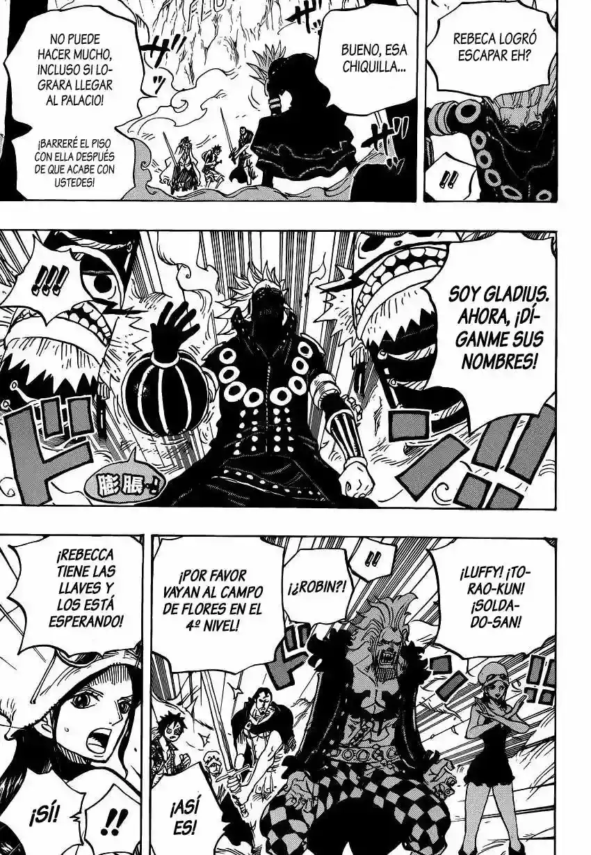 One Piece Capítulo 756 - Página 17 en español