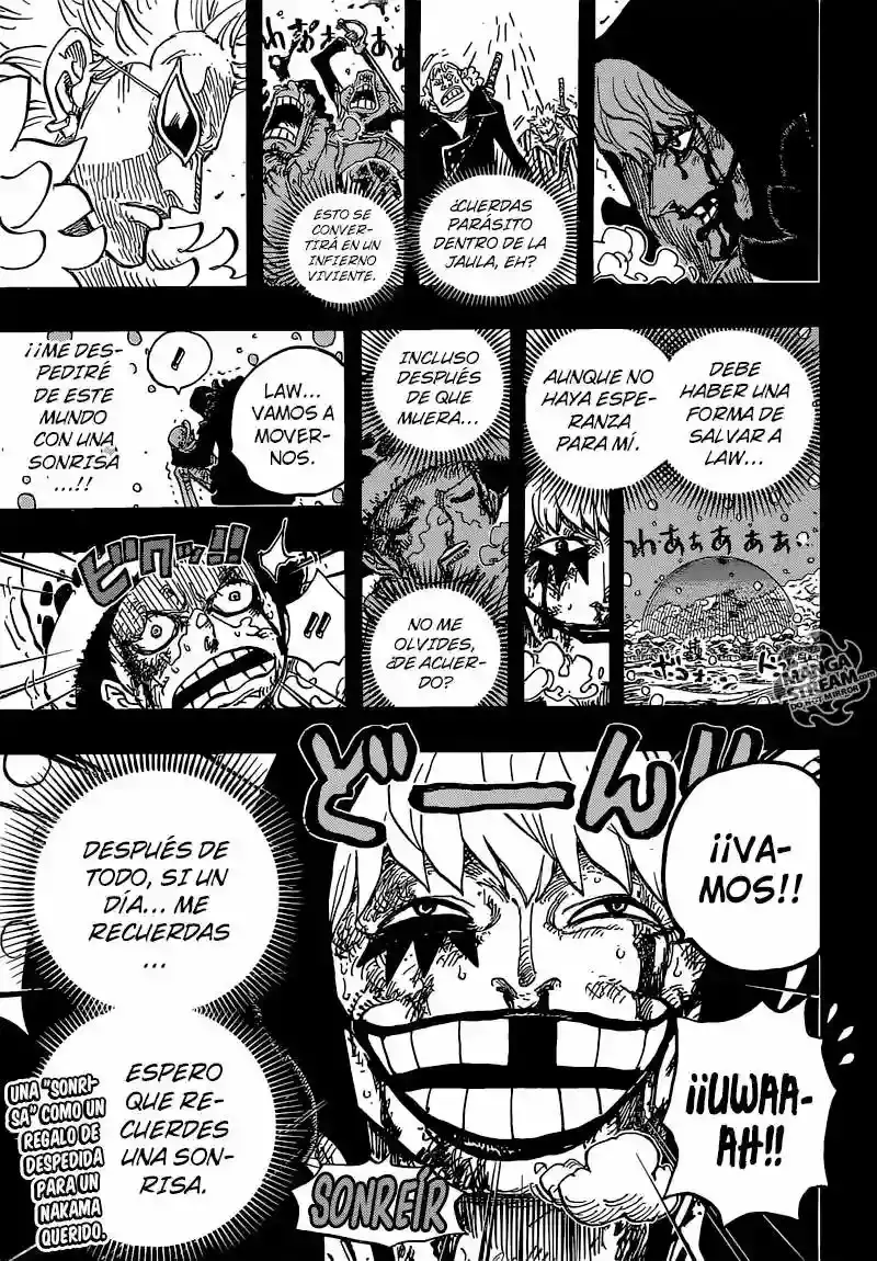 One Piece Capítulo 766 - Página 17 en español