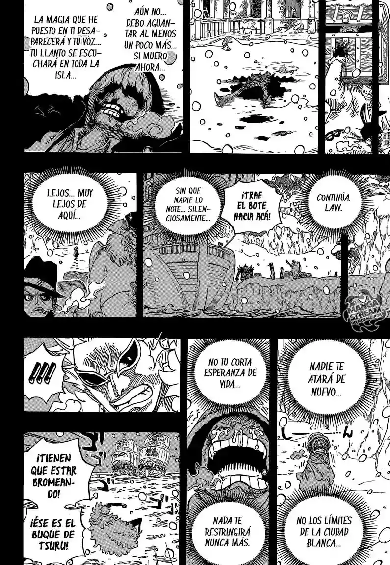 One Piece Capítulo 767 - Página 17 en español