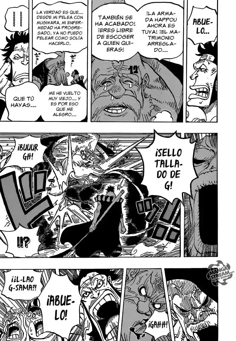 One Piece Capítulo 771 - Página 17 en español
