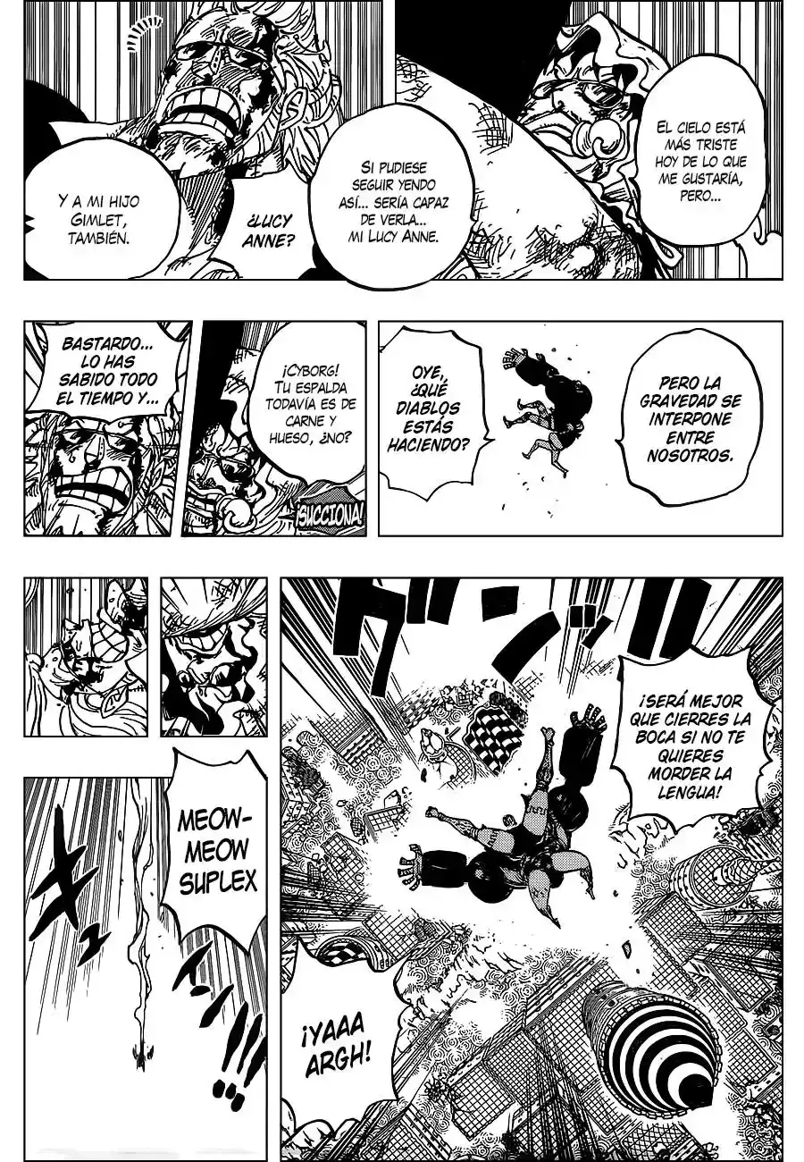One Piece Capítulo 775 - Página 11 en español