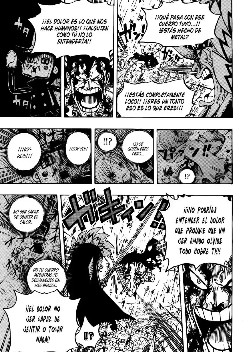 One Piece Capítulo 776 - Página 15 en español