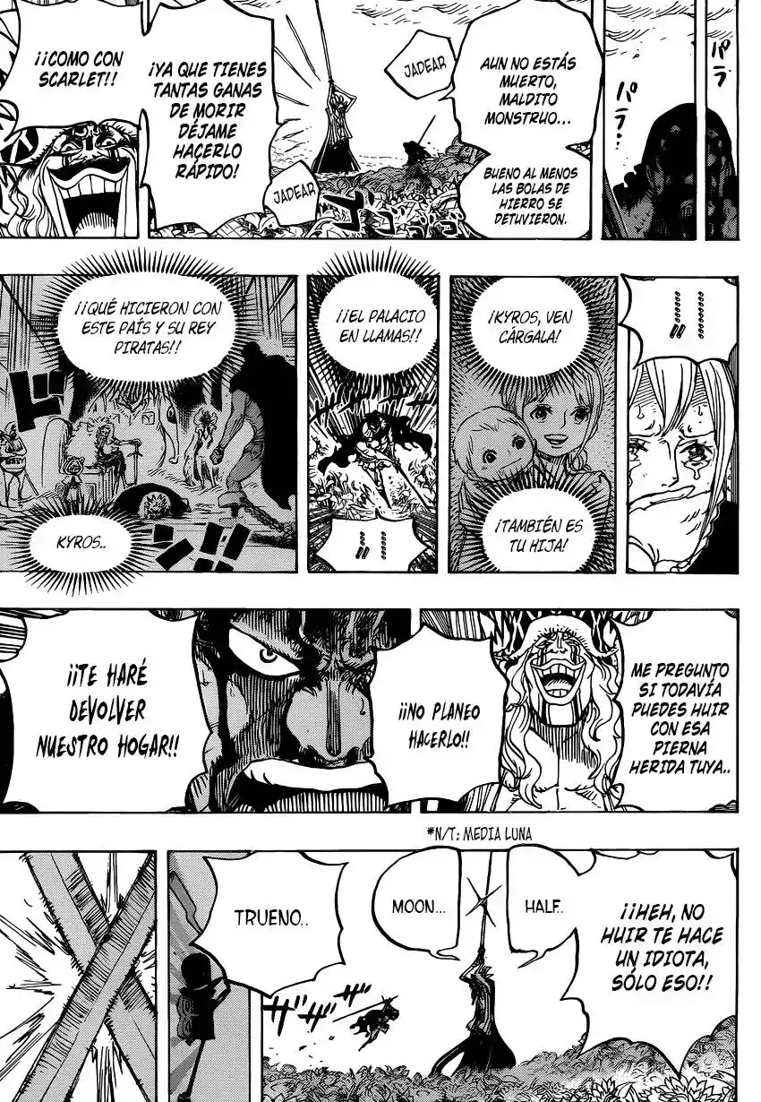 One Piece Capítulo 776 - Página 17 en español