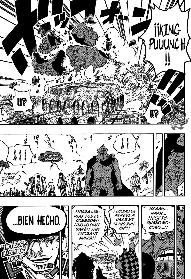 One Piece Capítulo 778 - Página 15 en español