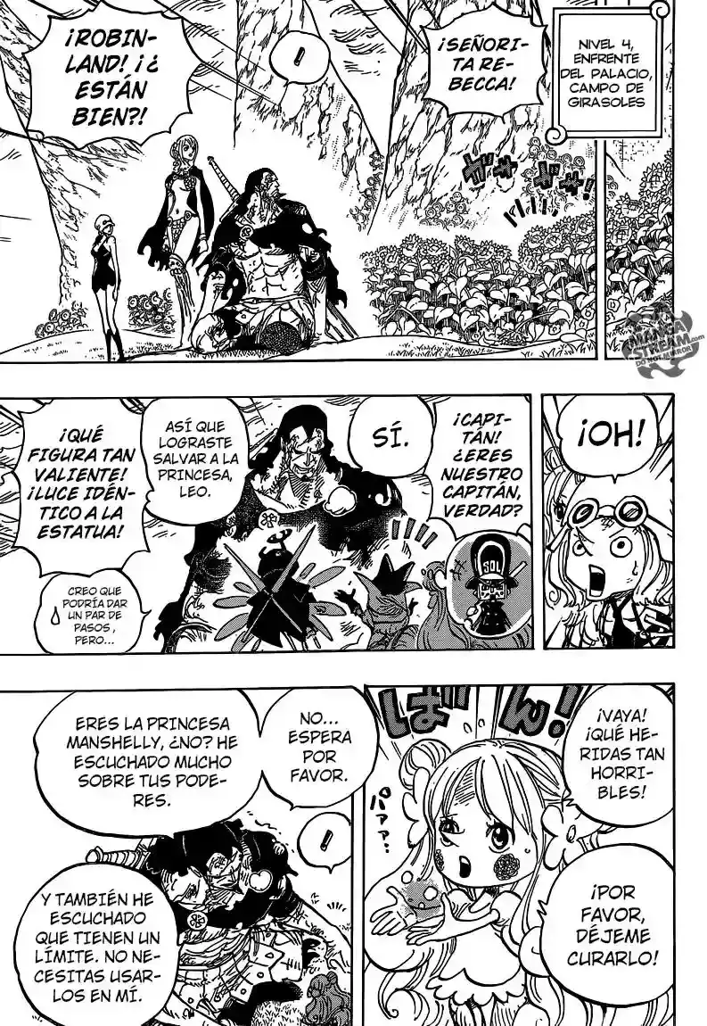 One Piece Capítulo 779 - Página 8 en español