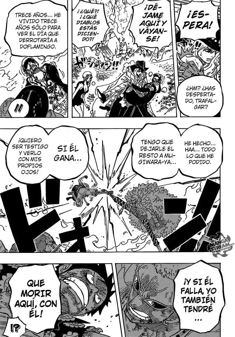 One Piece Capítulo 783 - Página 14 en español