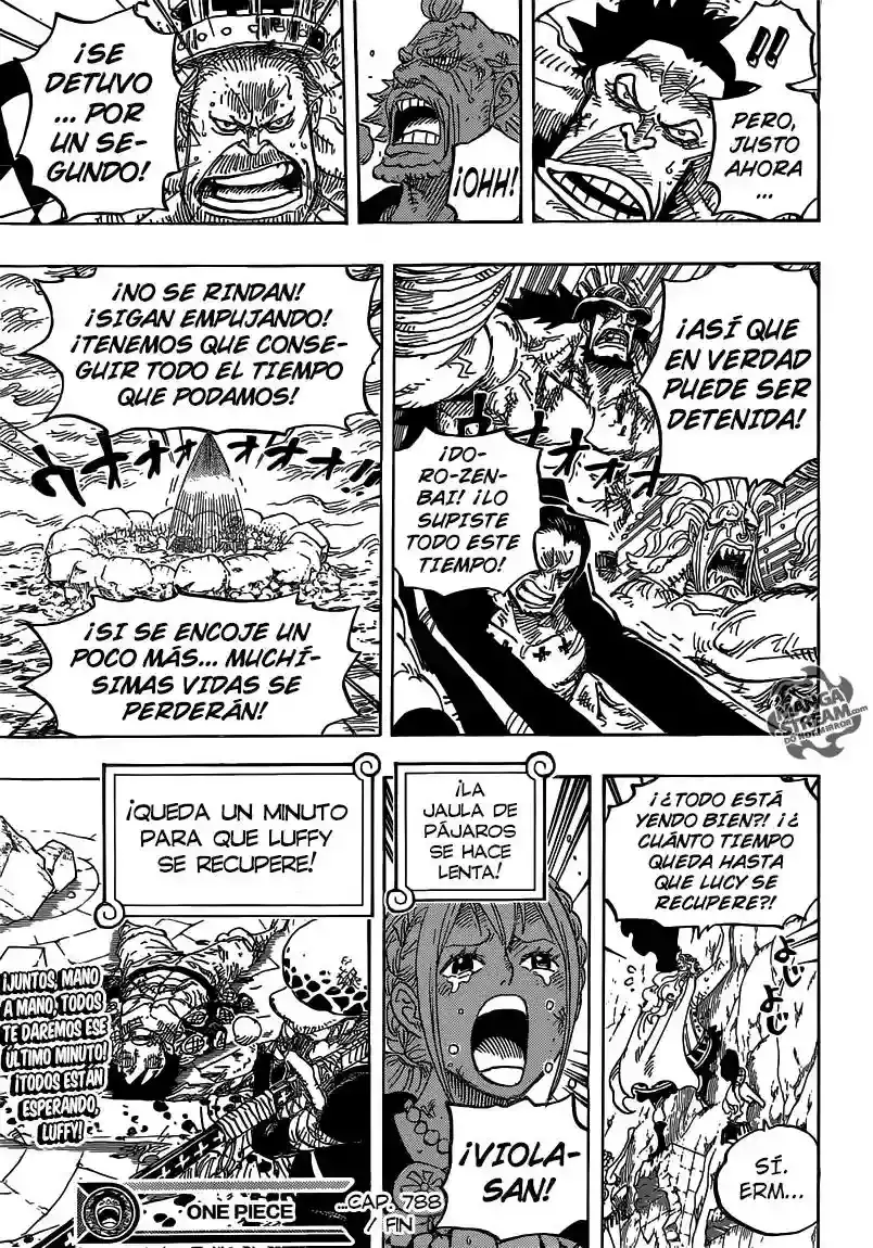One Piece Capítulo 788 - Página 17 en español