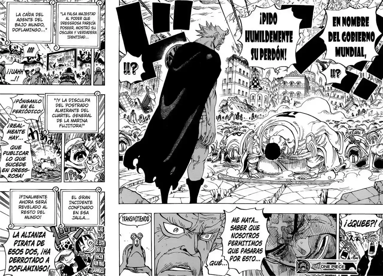 One Piece Capítulo 792 - Página 15 en español