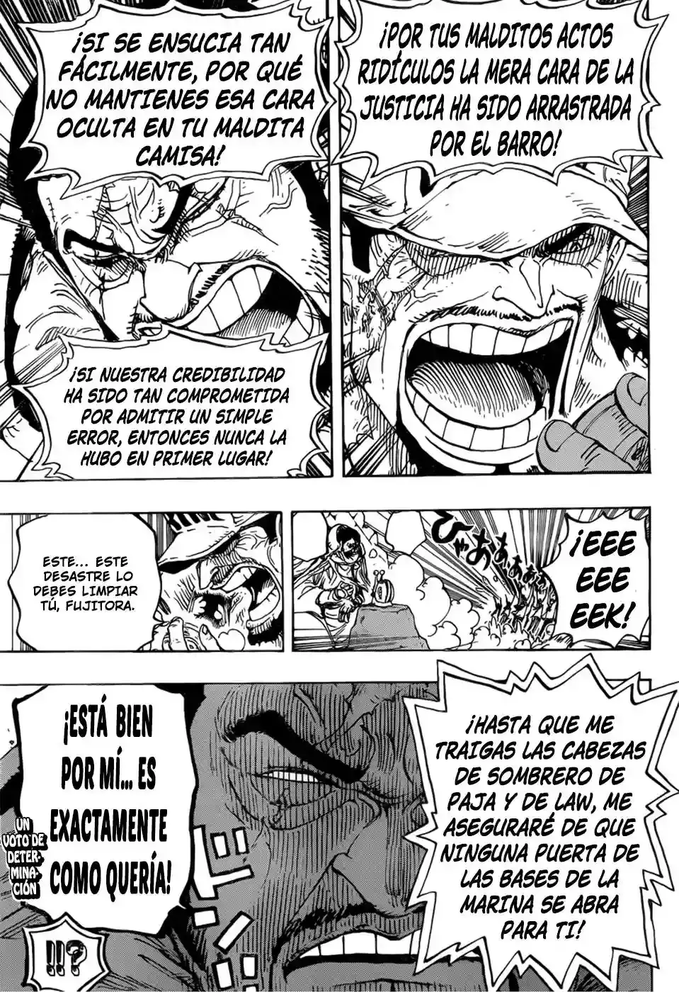 One Piece Capítulo 793 - Página 15 en español