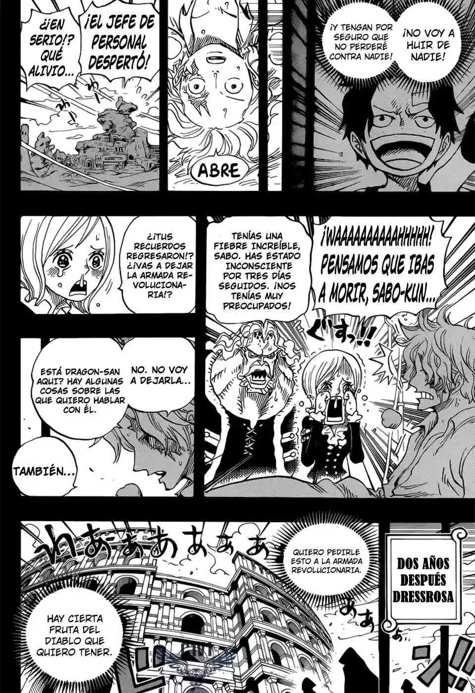 One Piece Capítulo 794 - Página 11 en español