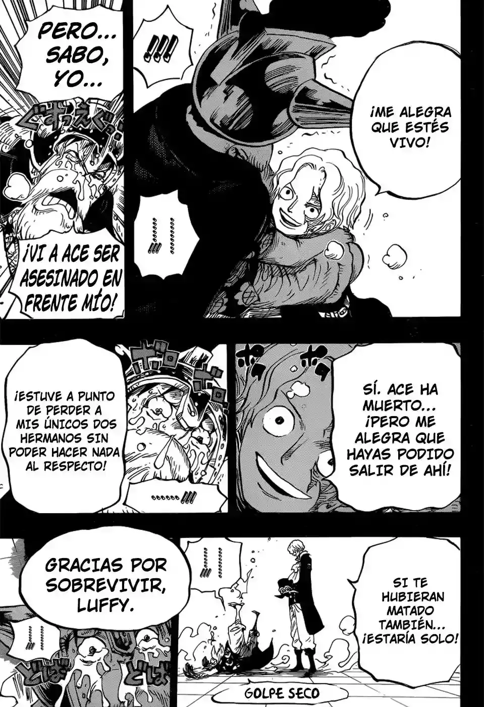 One Piece Capítulo 794 - Página 14 en español