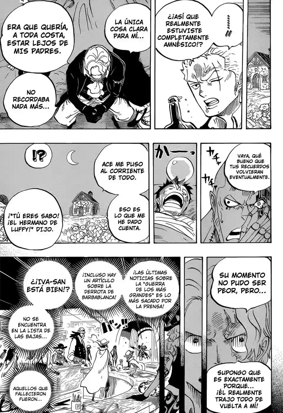 One Piece Capítulo 794 - Página 8 en español