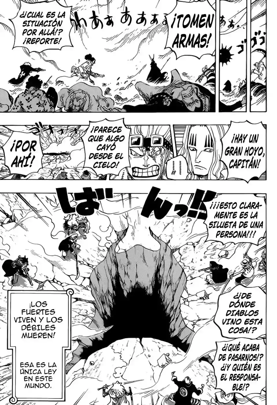 One Piece Capítulo 795 - Página 12 en español