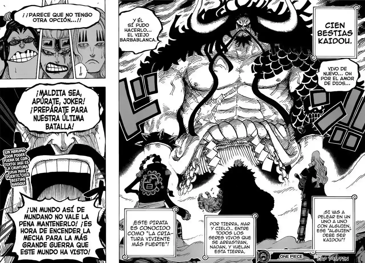 One Piece Capítulo 795 - Página 17 en español