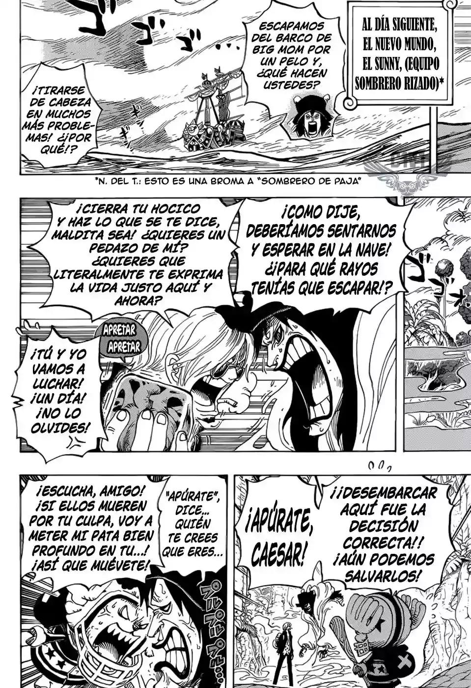 One Piece Capítulo 795 - Página 5 en español