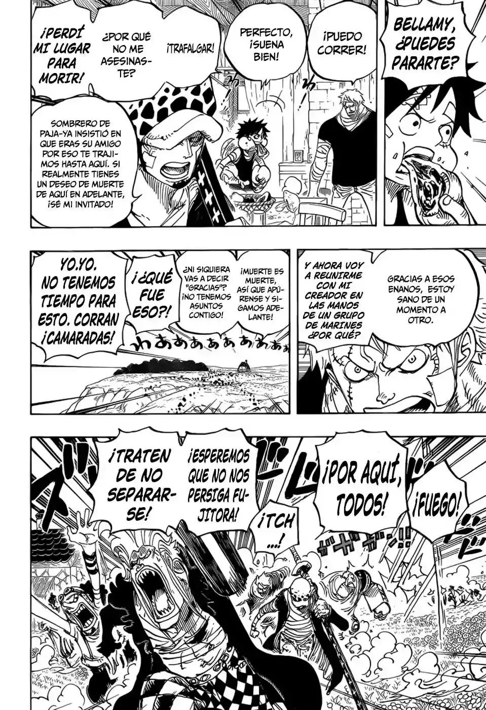One Piece Capítulo 796 - Página 19 en español