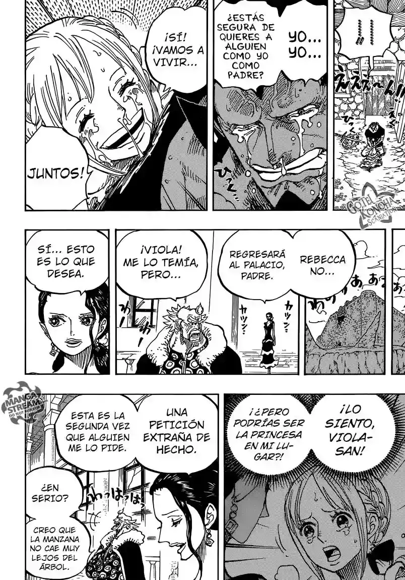 One Piece Capítulo 797 - Página 17 en español