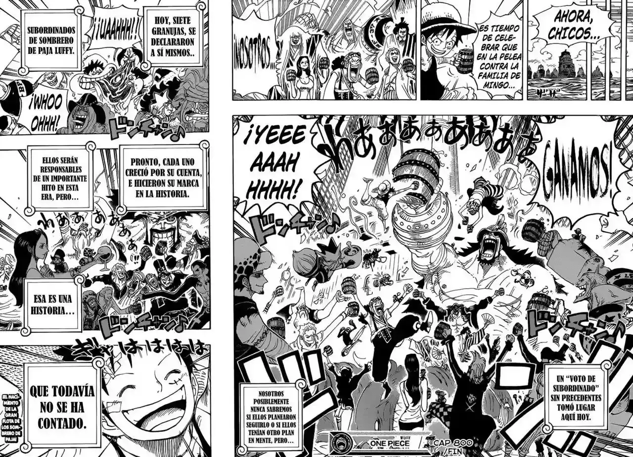 One Piece Capítulo 800 - Página 14 en español