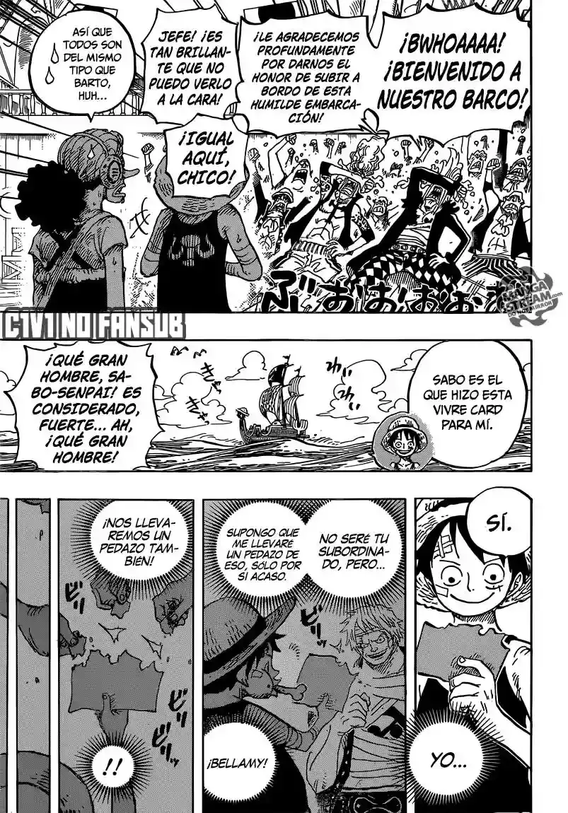 One Piece Capítulo 801 - Página 14 en español