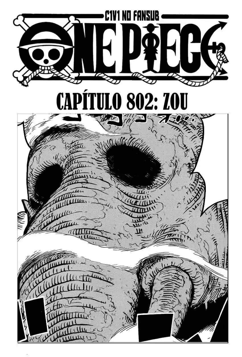 One Piece Capítulo 802 - Página 3 en español
