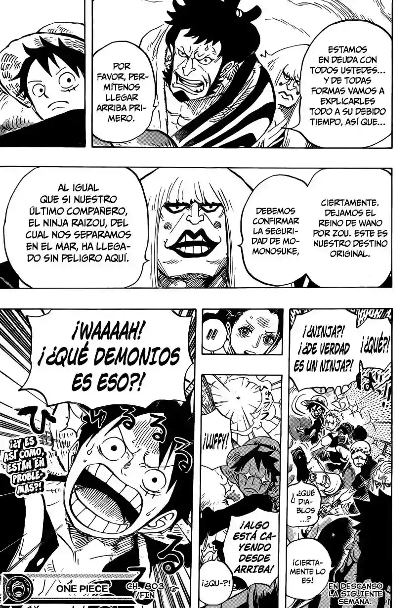 One Piece Capítulo 803 - Página 14 en español