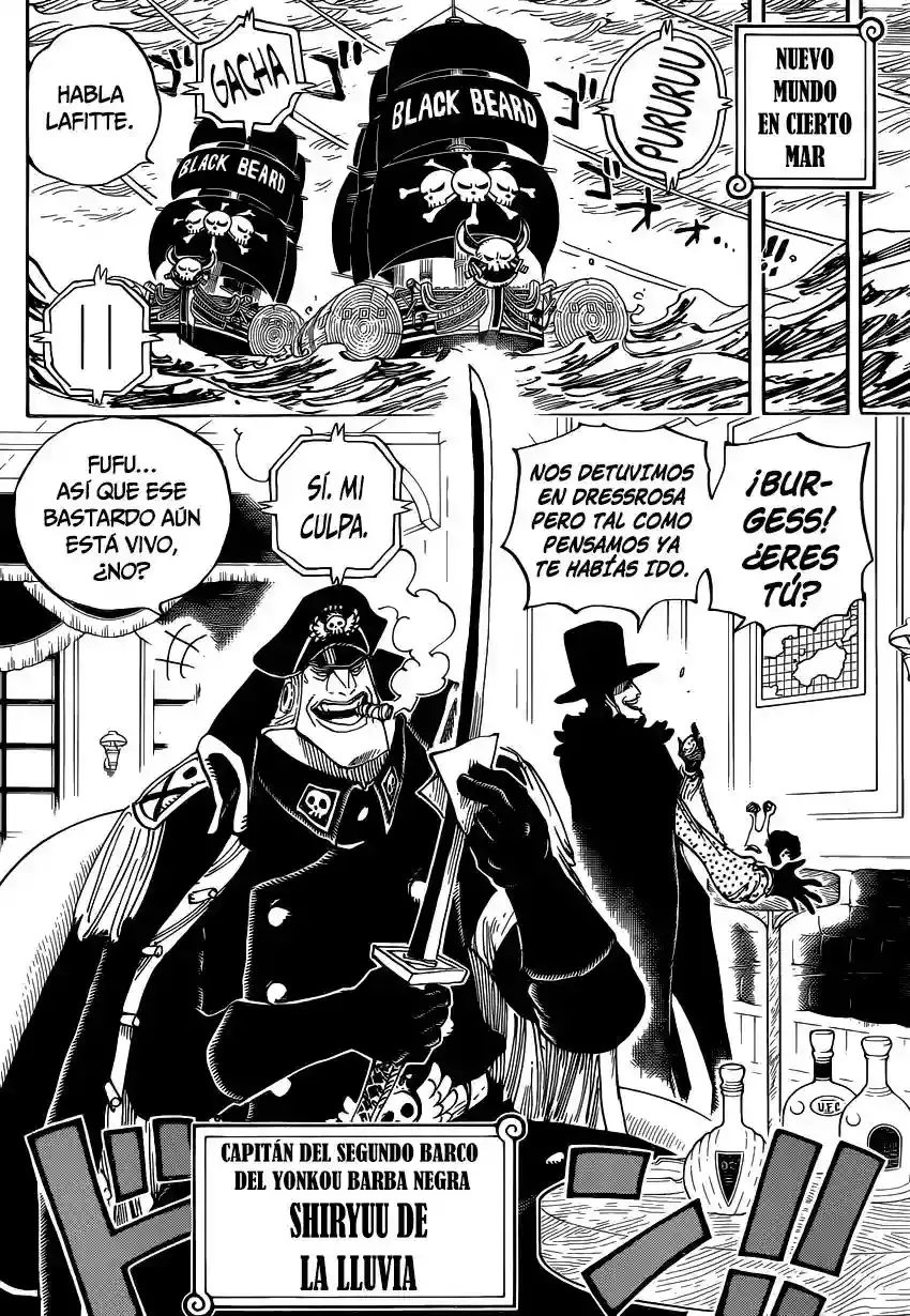 One Piece Capítulo 803 - Página 9 en español