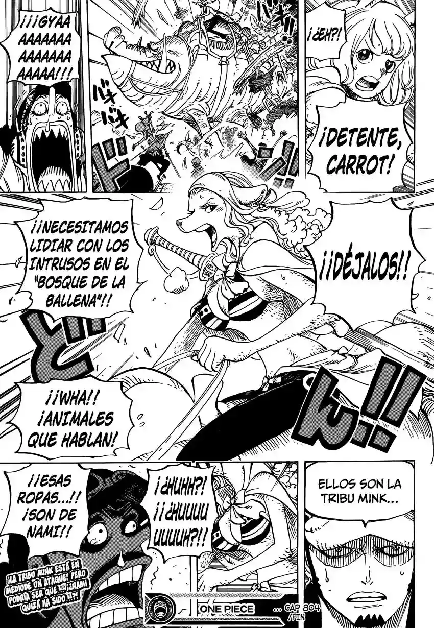 One Piece Capítulo 804 - Página 17 en español