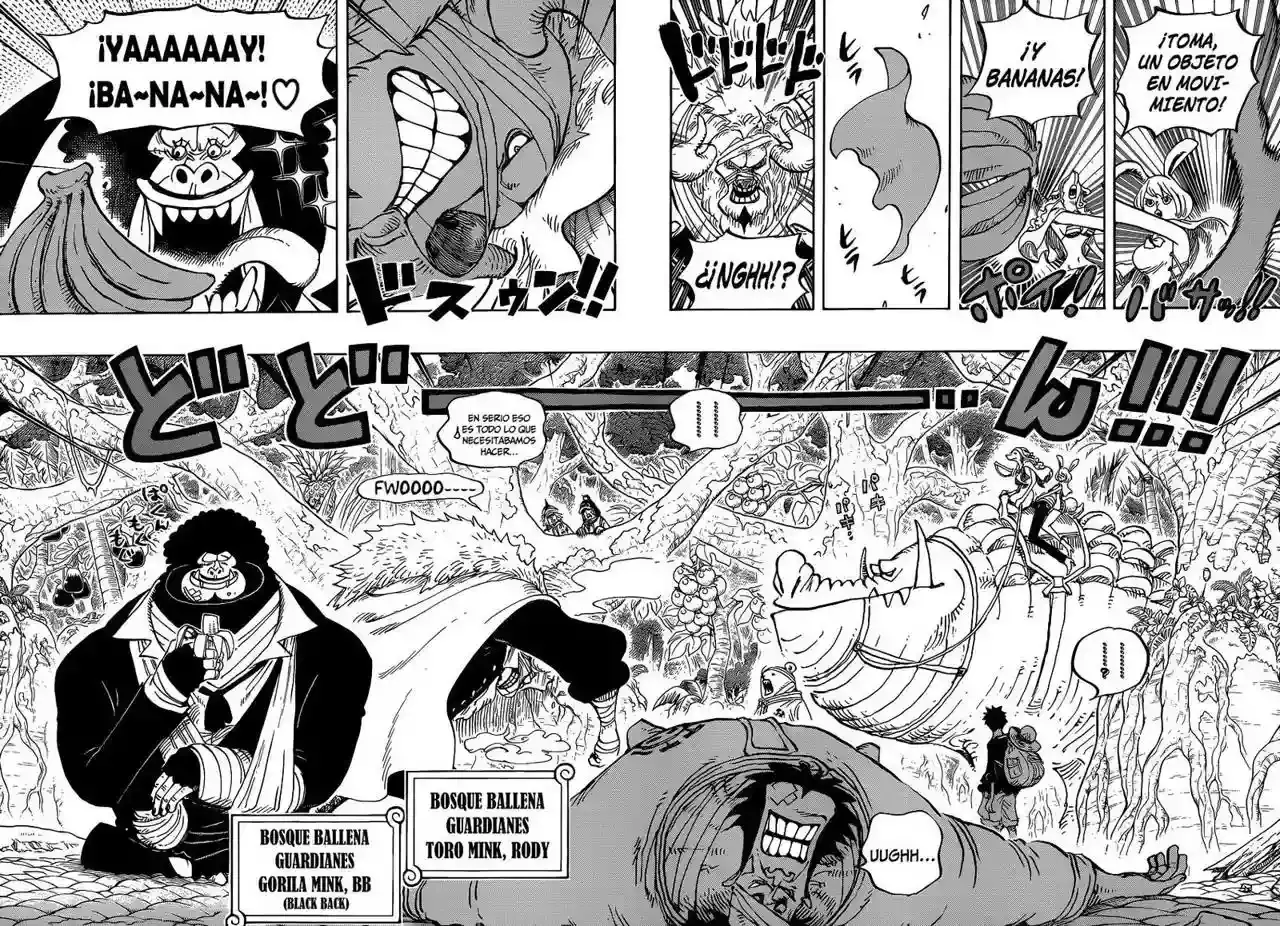 One Piece Capítulo 805 - Página 11 en español