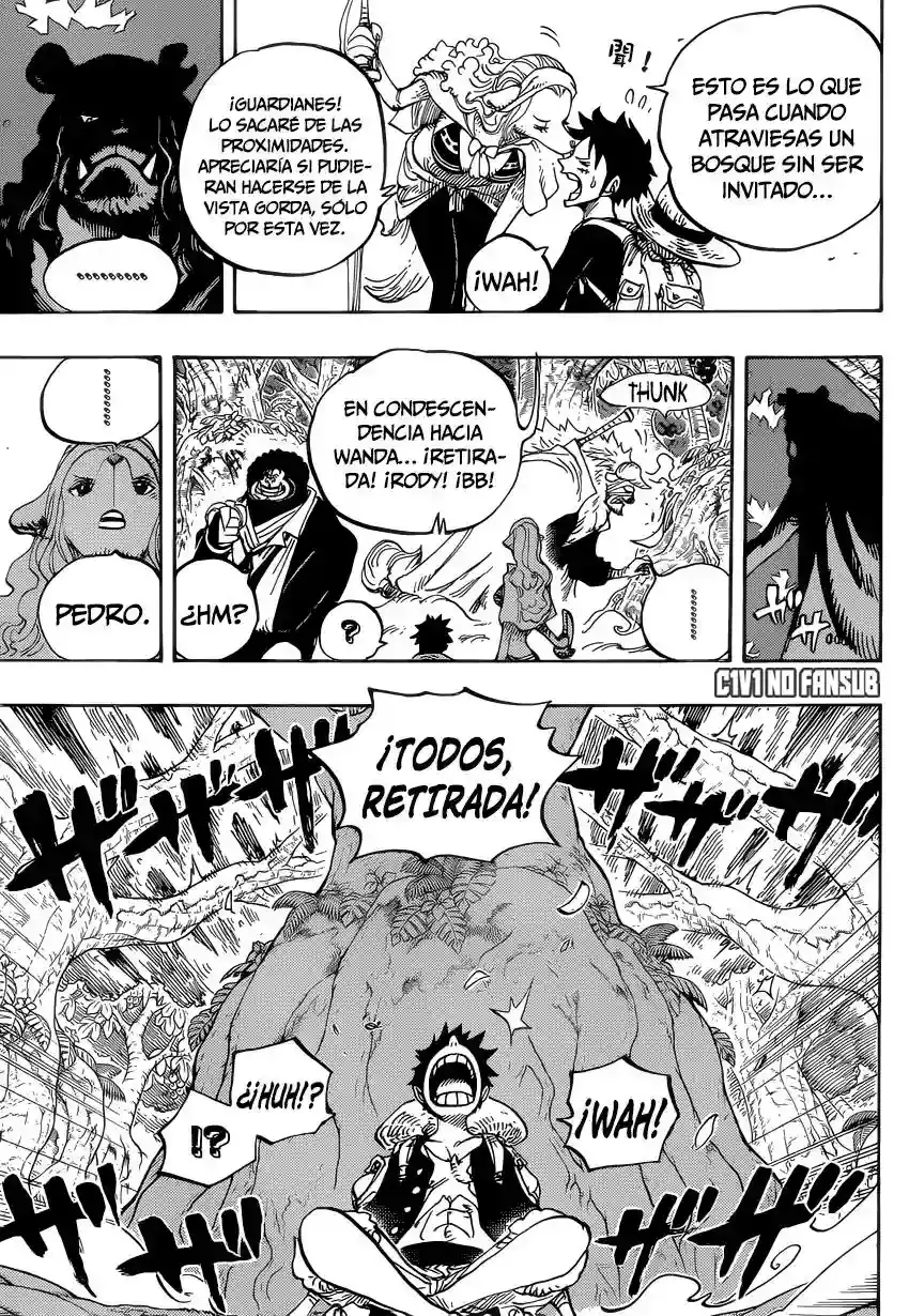 One Piece Capítulo 805 - Página 13 en español