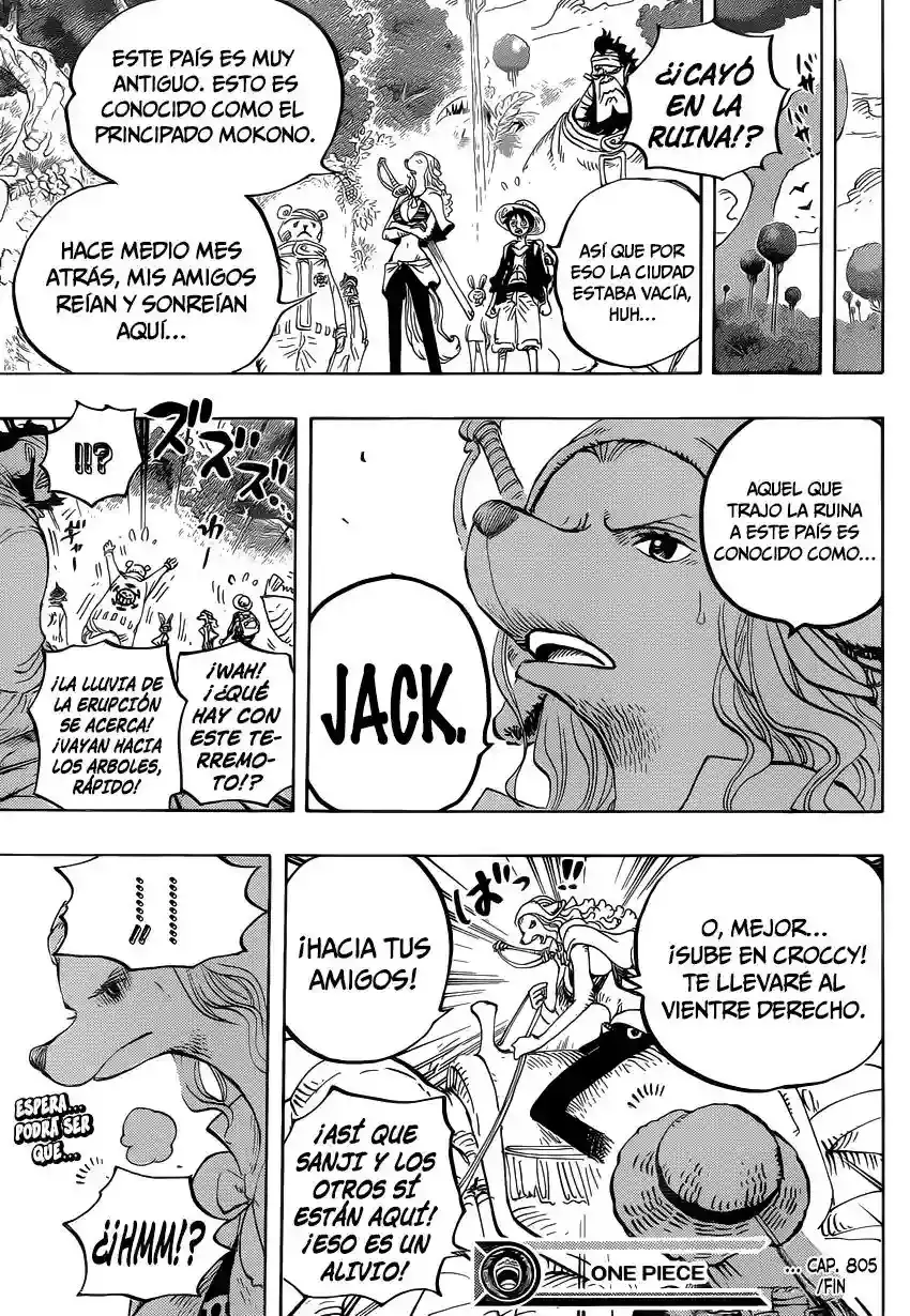 One Piece Capítulo 805 - Página 17 en español