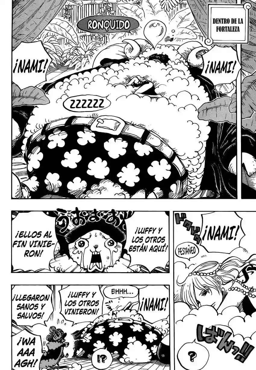 One Piece Capítulo 806 - Página 13 en español