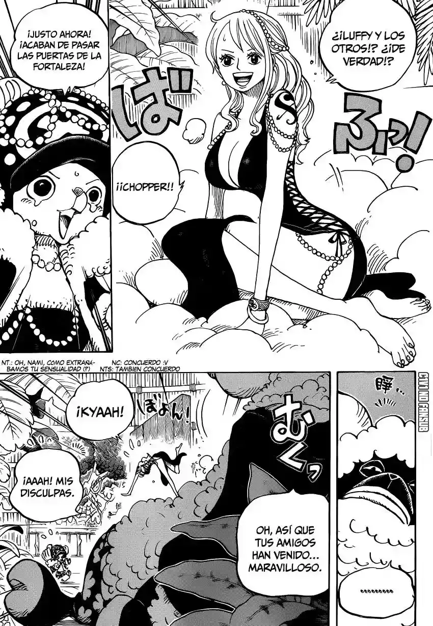 One Piece Capítulo 806 - Página 14 en español