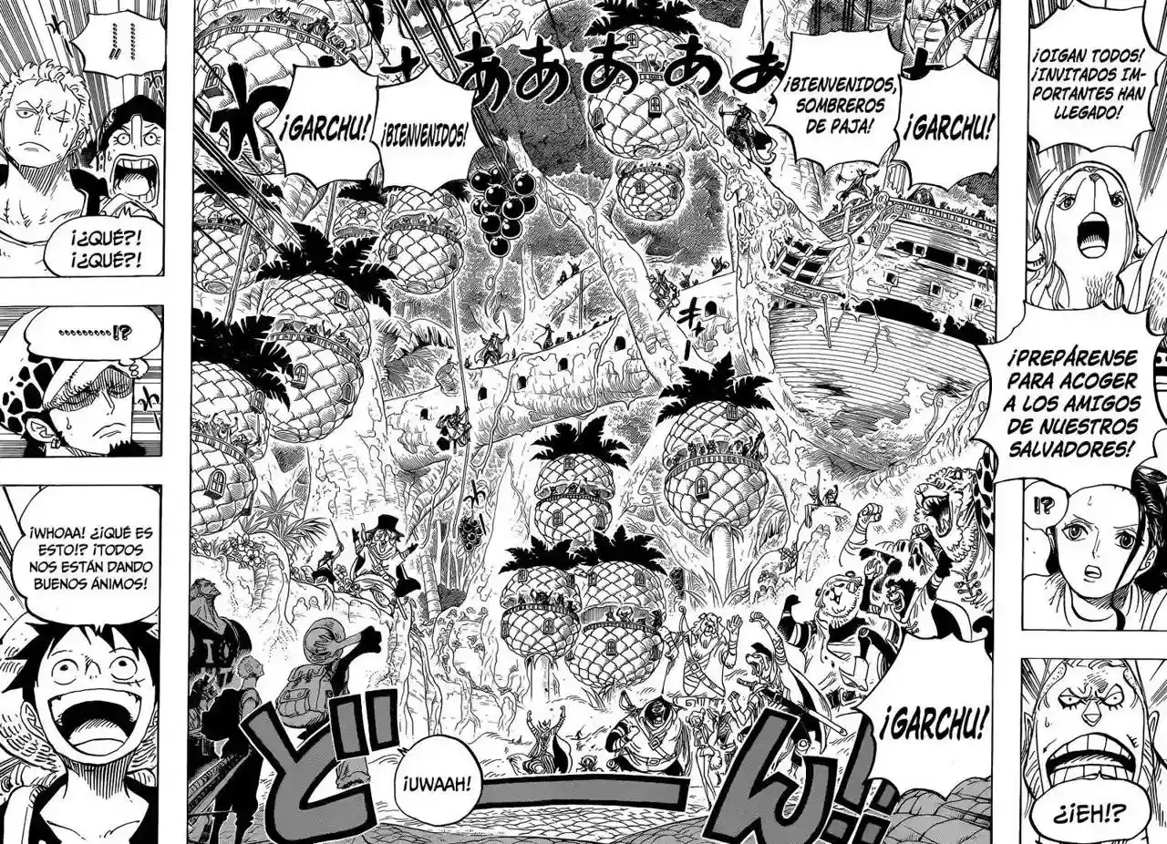 One Piece Capítulo 806 - Página 15 en español