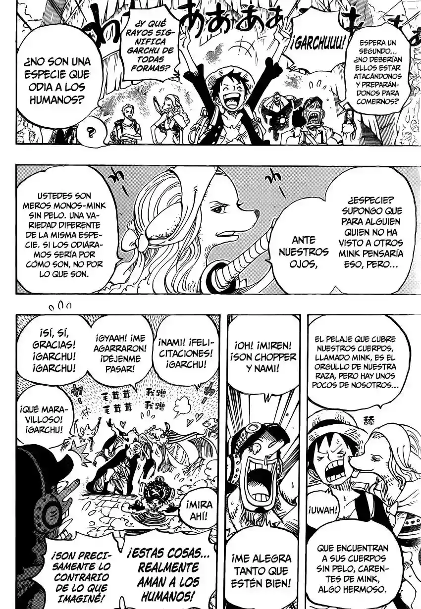 One Piece Capítulo 806 - Página 16 en español