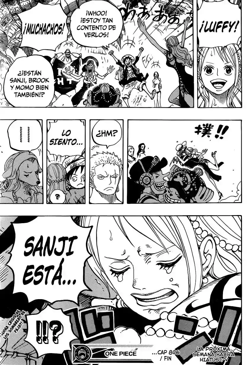 One Piece Capítulo 806 - Página 17 en español