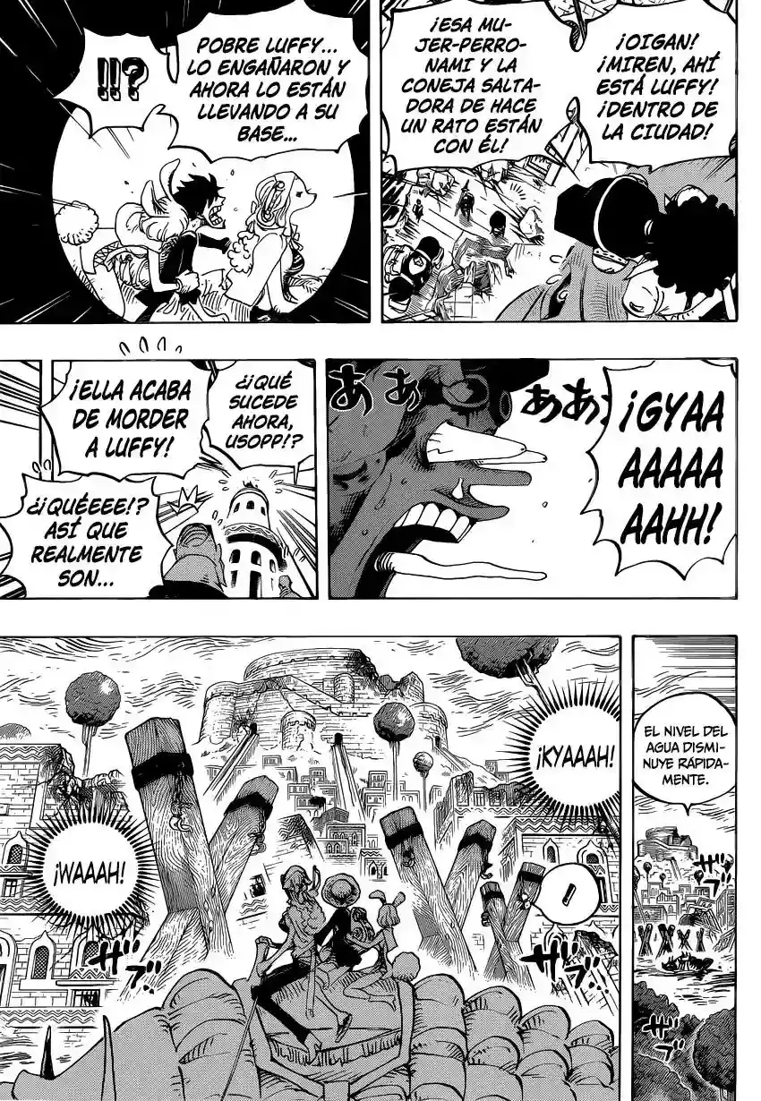 One Piece Capítulo 806 - Página 8 en español
