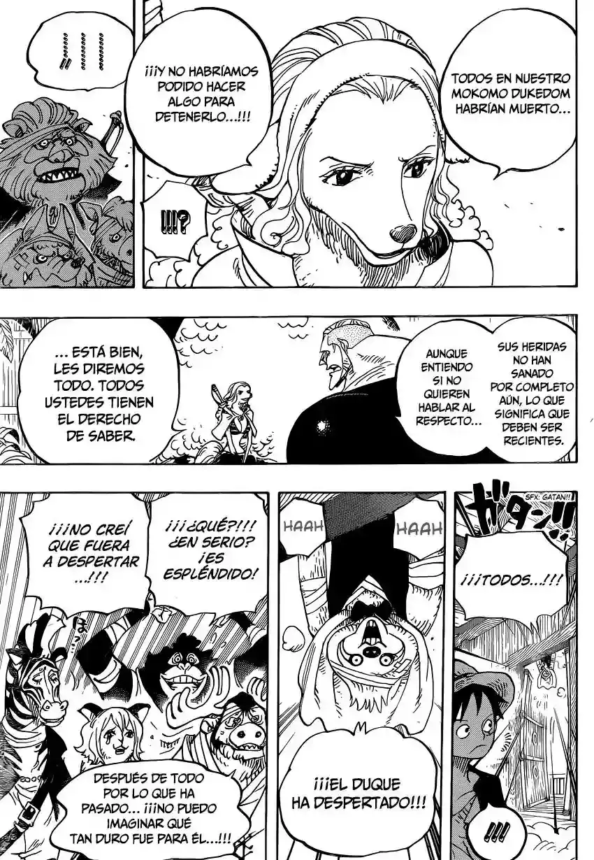 One Piece Capítulo 807 - Página 13 en español