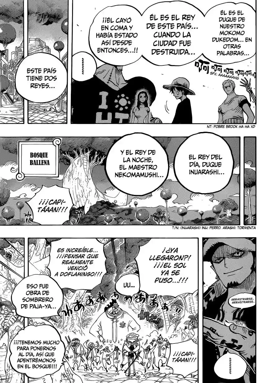 One Piece Capítulo 807 - Página 15 en español