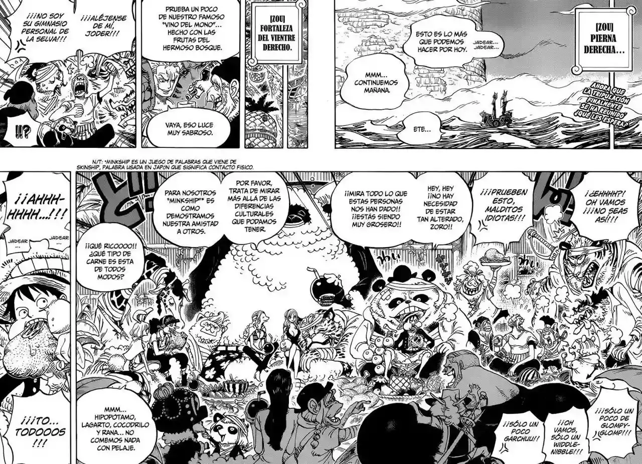 One Piece Capítulo 807 - Página 3 en español